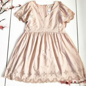 LOFT Eyelet Ruffle Sleeve Dress Sz L